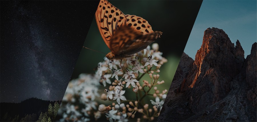 Catégorie - Nature
