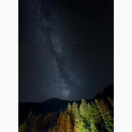 Tirage intitulé Foret Céleste qui représente la voie lactée avec une forêt éclairée en premier plan.