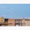 Tirage intitulé Front de Mer qui représente des façades de maisons avec des mouettes volant au dessus.