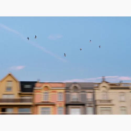 Tirage intitulé Front de Mer qui représente des façades de maisons avec des mouettes volant au dessus.