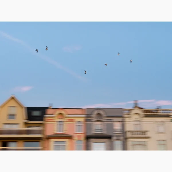 Tirage intitulé Front de Mer qui représente des façades de maisons avec des mouettes volant au dessus.